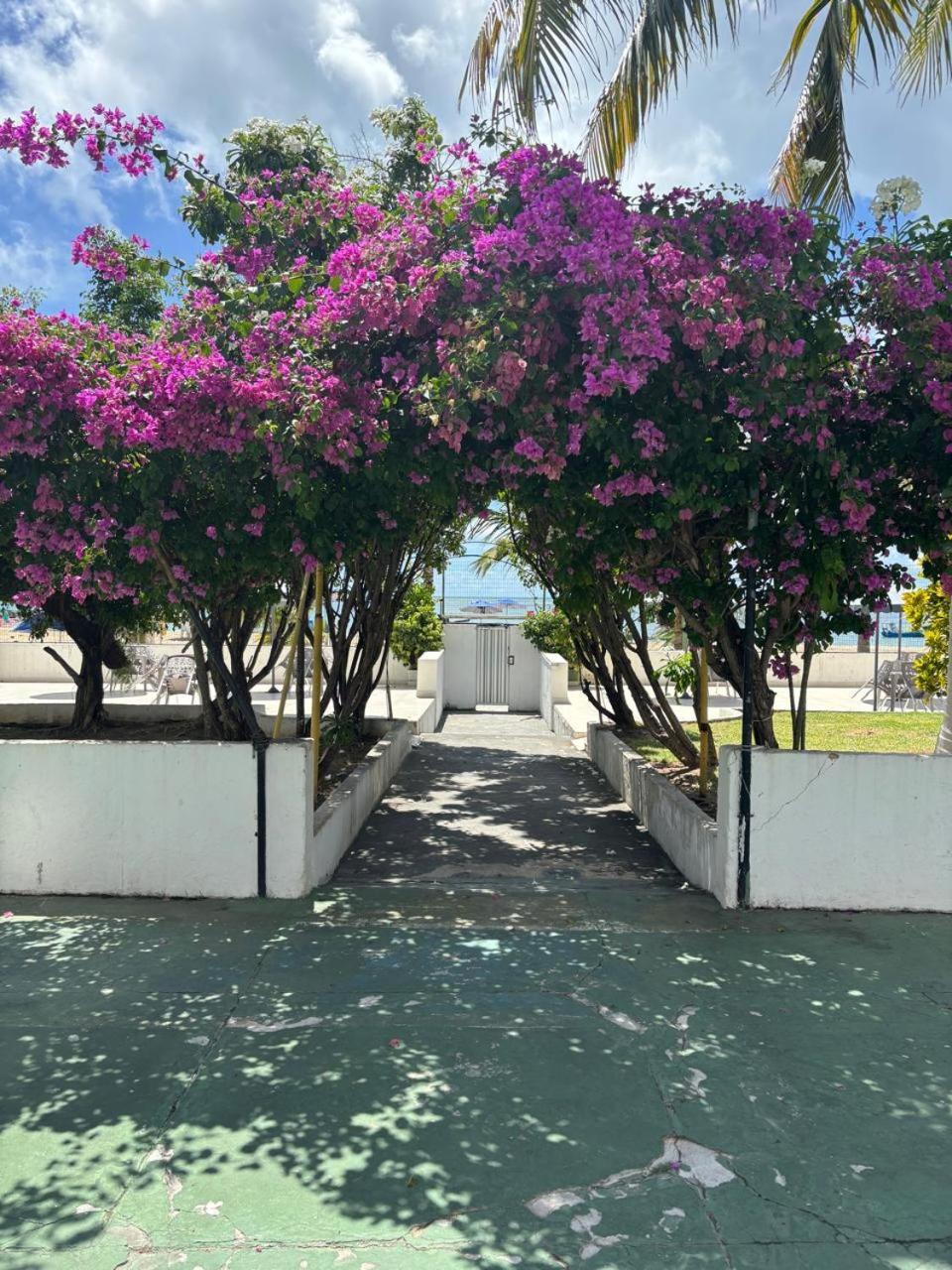Apto 3 Quartos Pe Na Areia Prox De Recife Exteriör bild